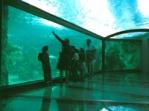 Great Barrier Reef tunnel